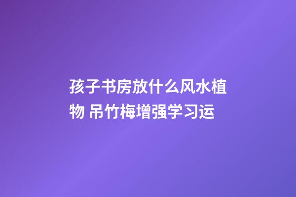 孩子书房放什么风水植物 吊竹梅增强学习运
